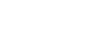 logo mntdzn white